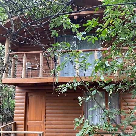 Cabanas El Canelo1 Pucon Exterior photo